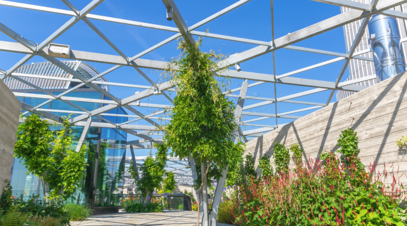 A rooftop garden with sustainable architecture, featuring green plants and modern structural designs, illustrating sustainable building practices in the UK.