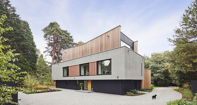 House Long - A contemporary woodland home