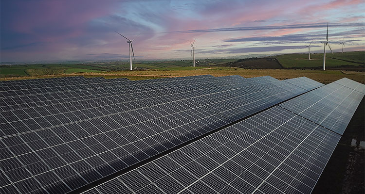 solar farm with numerous solar panels in a field