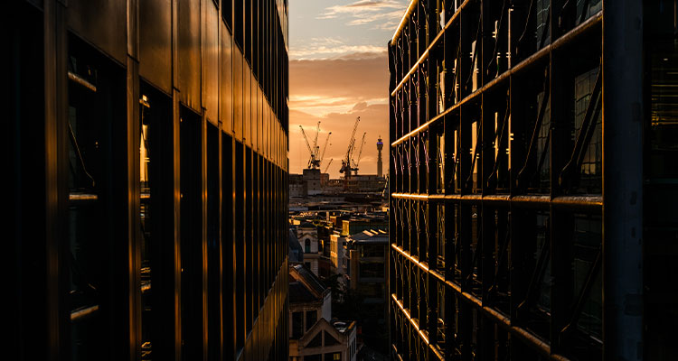 Amid industry challenges, Sauter Group’s newly rebranded Emtec Southern is driving sustainability a sunset view of a city