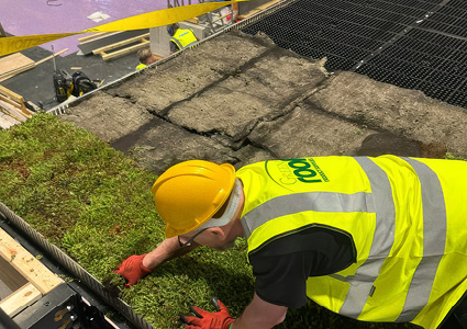 a construction worker installing a living green roof system