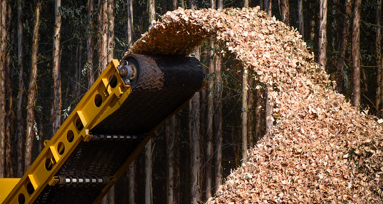 a large industrial wood chipper or horizontal grinder discharging processed wood chips via a yellow discharge conveyor belt into a pile in a forested area